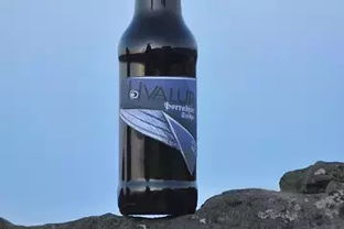 那些被禁的奇奇怪怪的酒精飲料